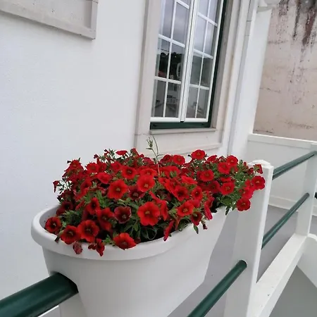 Rossio Albergue Alcobaça